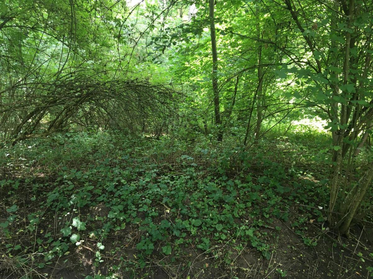 Un Coin De Foret Courmas Eksteriør billede
